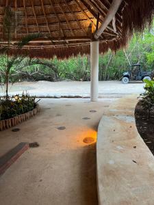 Κήπος έξω από το Bsm