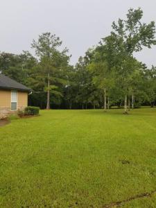 une grande cour avec une maison et des arbres dans l'établissement White Squirrel Cottage, à Crawfordville