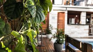 a wooden deck with potted plants and a bench at Villa Maritaca Condomínio de 4 Casas de Locação por Temporada de Alto Padrão com SPA in Arraial d'Ajuda