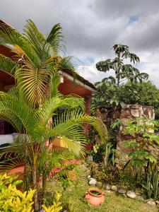 Zahrada ubytování Finca El Paraíso