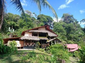 a house in the jungle with trees at Lodge El Amargal - Reserva Natural, Ecoturismo & Surf in Nuquí