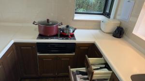 Kuchyň nebo kuchyňský kout v ubytování Hakone View Stay 箱根ビューステイ 山と湖の自然を望む BBQ完備