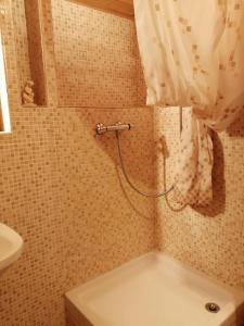 Ένα μπάνιο στο Le vieux chalet +24 φωτογραφίες