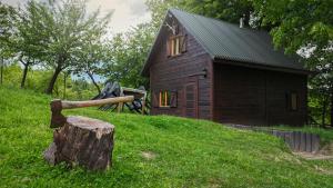 a small house on a hill with a tree stump at Domek myśliwski w górach in Ujsoły