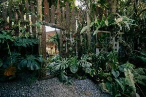 Zahrada ubytování Harmony Garden - Home and Coffee