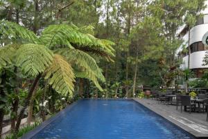 a swimming pool in a garden with trees and a building at House Sangkuriang in Bandung +35 photos