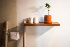 eine Pflanze auf einem Holzregal in einem Badezimmer in der Unterkunft Villa Lumbung Sari - Tropical Balinese Experience in Canggu + 58 Fotos