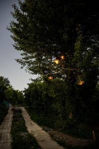 Φωτογραφία από το άλμπουμ του Shromantic Garden σε Shroma