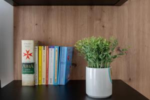Knihovna v apartmánu