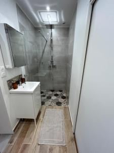 a bathroom with a shower and a sink at Appart 4 personnes Bethune Centre in Béthune