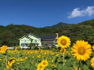 民宿附近的自然景觀 +37 張相片