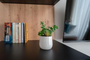 Knihovna v apartmánu