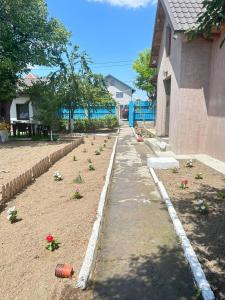 Zahrada ubytování Mica căsuța