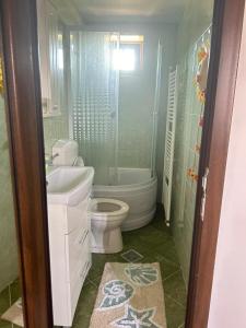 Koupelna v ubytování Mica căsuța