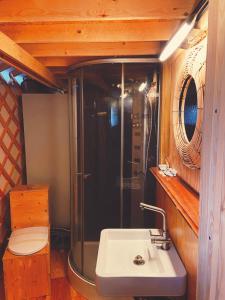 un bagno con lavandino e doccia di La yourte du verger d Hellebecq a Silly