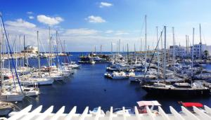 a bunch of boats docked in a harbor at Marina Cap Monastir- Appart'Hôtel in Monastir