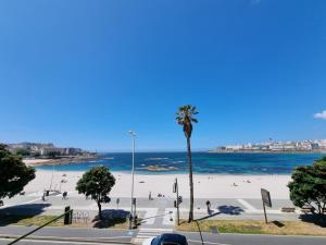 a view of a beach with a palm tree and the ocean at VibesCoruña-Rubine 20 in A Coruña
