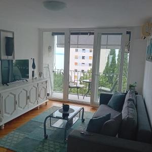TV a/nebo společenská místnost v ubytování Apartman Joy