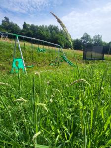 Ogród w obiekcie Leśne Wzgórze nad Soliną