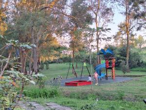 two children playing on a playground in a park at Bogdanov in Lozenets