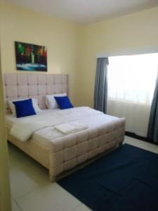 a bedroom with a large bed with blue pillows and a window at GG homes in Nairobi