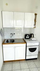 Кухня или мини-кухня в Lovely apartments on the private Beach - island Korčula
