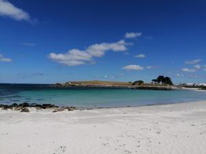 a beach with blue water and trees in the background at Bouquin-couette in Plouguerneau +14 photos
