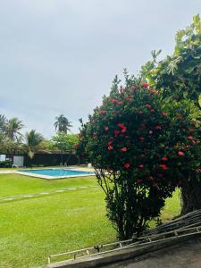 Taman di luar Beach Front by Kay Jay