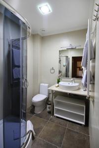 a bathroom with a toilet and a sink and a shower at City Park Hotel in Chişinău +33 photos