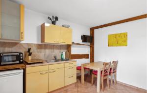 Η κουζίνα ή μικρή κουζίνα στο Pet Friendly Apartment In Am Salzhaff