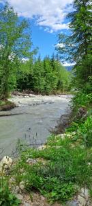 Paesaggio naturale nelle vicinanze dell'affittacamere