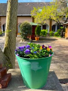 Zahrada ubytování Hotel Oswaldo