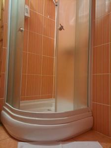 a shower with a glass door in a bathroom at Guesthouse Andrea in Poljanak