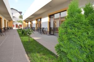 un arbusto verde junto a un edificio con mesas y sillas en Pensiunea Savas, en Costinesti