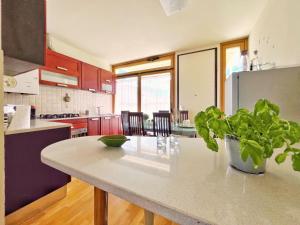 Η κουζίνα ή μικρή κουζίνα στο Casa Lido di Camaiore Eva&Gabri +17 φωτογραφίες