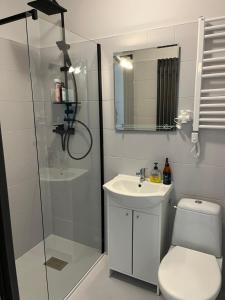 a bathroom with a shower and a toilet and a sink at Apartament ogrodowy in Miechów +14 photos
