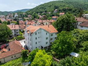an aerial view of a small town with houses at Milutinn-Trešnja in Soko Banja