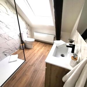 a bathroom with a white sink and a toilet at Le Scénario - centre ville in Sarreguemines +19 photos