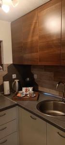 a kitchen with a sink and a counter top at Pyramid Holiday House in Visoko