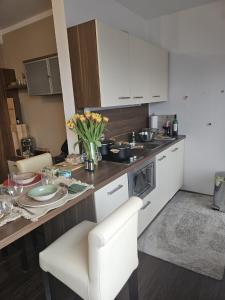 Köök või kööginurk majutusasutuses Apartments Faak