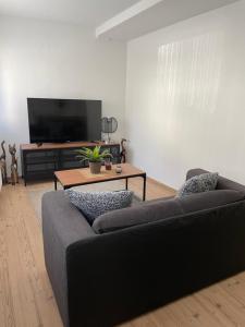 un soggiorno con divano e TV a schermo piatto di Charmante Wohnung in Burgnähe a Untergruppenbach