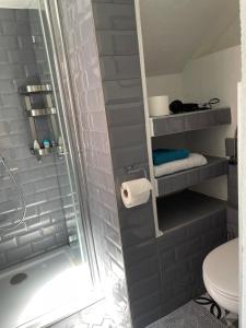 un bagno con doccia e WC di Charmante Wohnung in Burgnähe a Untergruppenbach