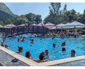 un grupo de personas en una piscina en Apartament Cosmi Ari, en Băile Herculane
