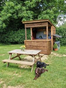 The Delkin Shepherds Huts Castle Combe外面的花园