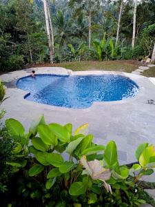 a person in a swimming pool in a yard at Tangkas wooden house in Tampaksiring