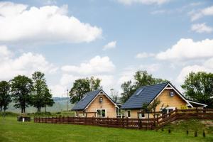 a house with a black roof on a green field at Alicjówka - domek in Marciszów