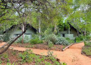 Afbeelding uit fotogalerij van Burchell's Bush Lodge by Dream Resorts in Sabi Sand Game Reserve +41 foto's