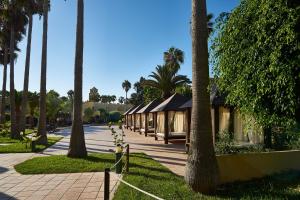 a row of buildings with palm trees in a park at Atlantic Garden Beach Mate in Corralejo