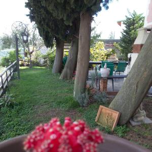 Φωτογραφία από το άλμπουμ του Finale Ligure Gorra Rooms Rosa di Mare vicino al mare lontano dal caos! σε Borgio Verezzi