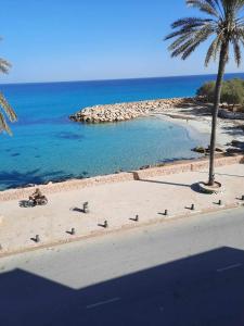 a beach with a palm tree and a person on a motorcycle at Appartement vue sur mer à Mahdia in Mahdia